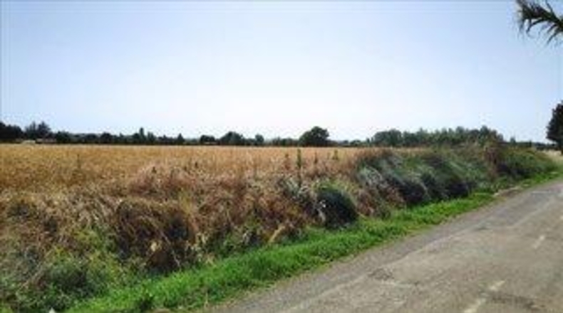 Huesca - Huesca - 600m2
