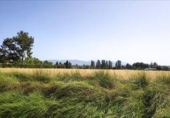 Land suitable for development for sale on España, Huesca, ref: TR316508 photo