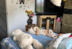 Foto 11