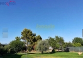 Casa de camp amb terreny en venda a la España, Encinarejo de Córdoba, ref.: TR134925 foto