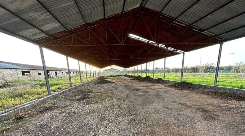 Seville - Morón de la Frontera - 45932m2