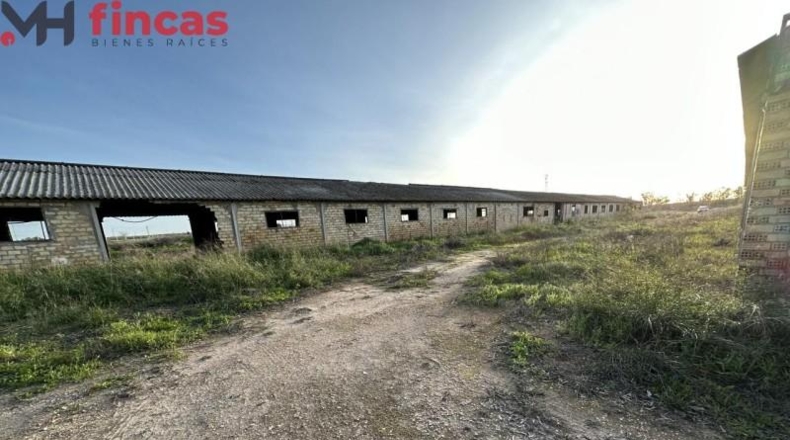 Seville - Arahal - 45932m2