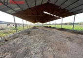 Non-developable land for sale on España, Arahal, ref: TR248385 photo