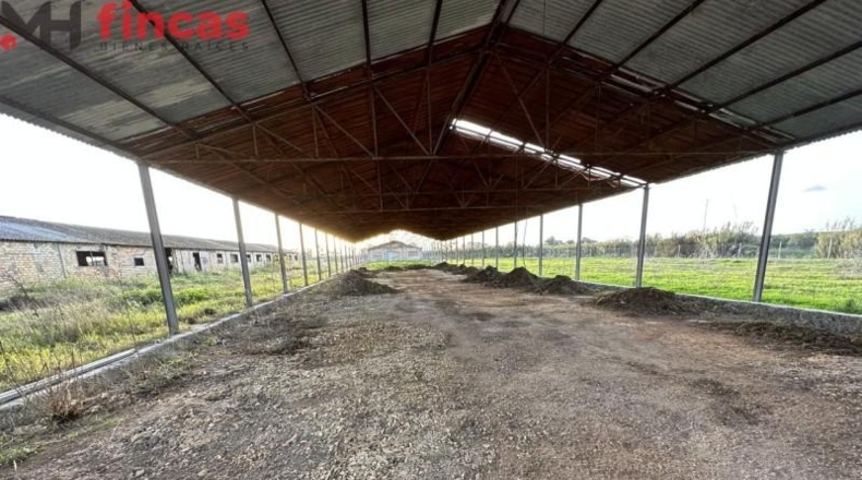 Seville - Arahal - 45932m2