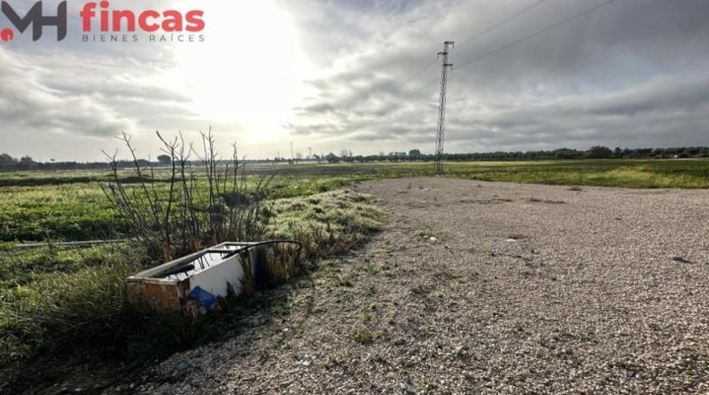 Seville - Arahal - 45932m2