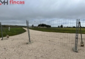 Non-developable land for sale on España, Arahal, ref: TR248385 photo