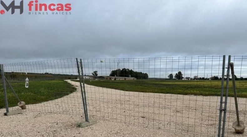 Seville - Arahal - 45932m2