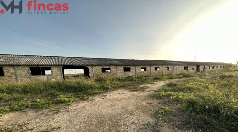 Seville - Arahal - 45932m2