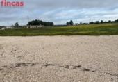 Non-developable land for sale on España, Arahal, ref: TR248385 photo