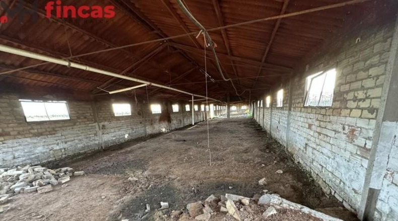 Seville - Arahal - 45932m2