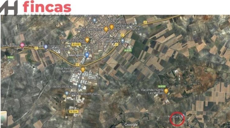 Seville - Arahal - 45932m2