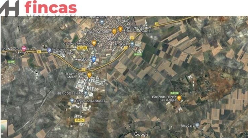 Seville - Arahal - 45932m2