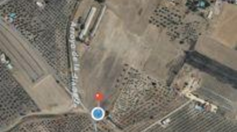 Seville - Arahal - 45932m2