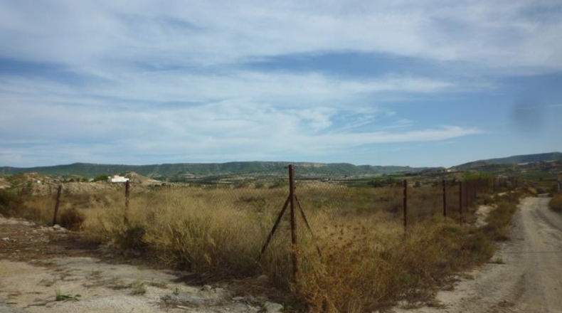 Alicante - Oriola - 38434m2