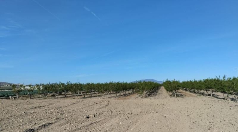 Murcia - Totana - 17480m2