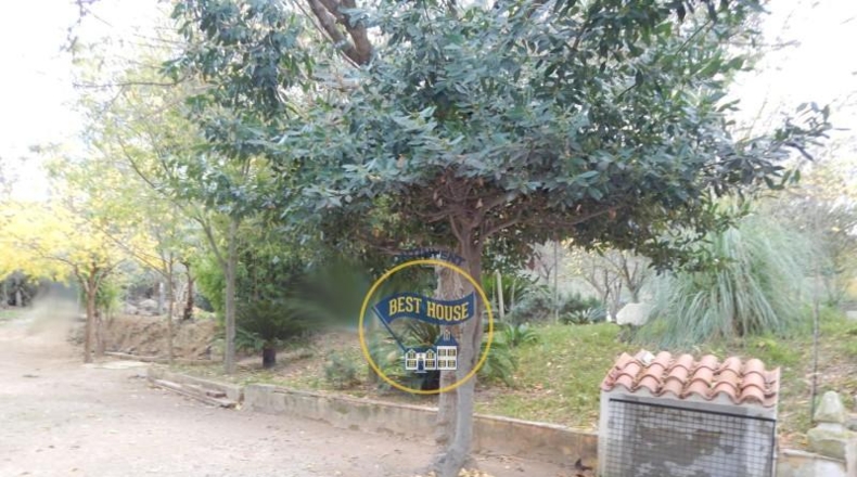 Valencia - Onteniente - 2660m2