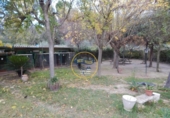 Detached villa with land for sale on España, Ontinyent, ref: TR219148 photo