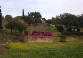 Sòl urbà en venda a la España, Alcolea, ref.: TR119336 foto