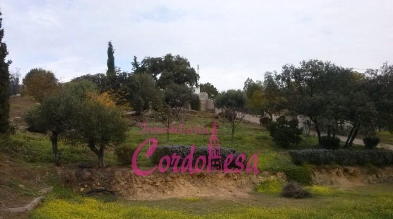 Córdoba - Córdoba - 3080m2