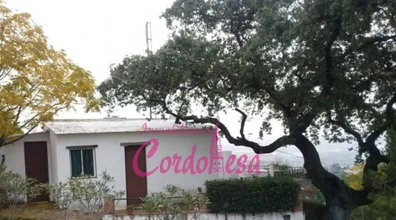 Córdoba - Córdoba - 3080m2