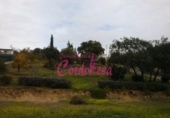 Sòl urbà en venda a la España, Alcolea, ref.: TR119336 foto