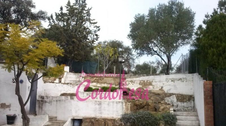 Córdoba - Córdoba - 3080m2