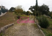 Sòl urbà en venda a la España, Alcolea, ref.: TR119336 foto