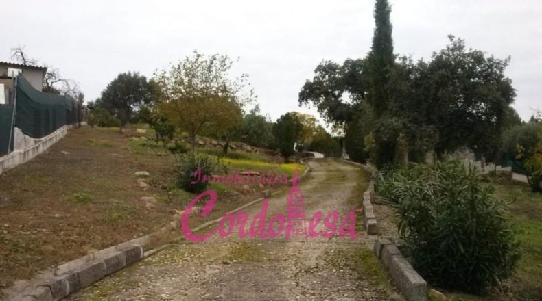 Córdoba - Córdoba - 3080m2