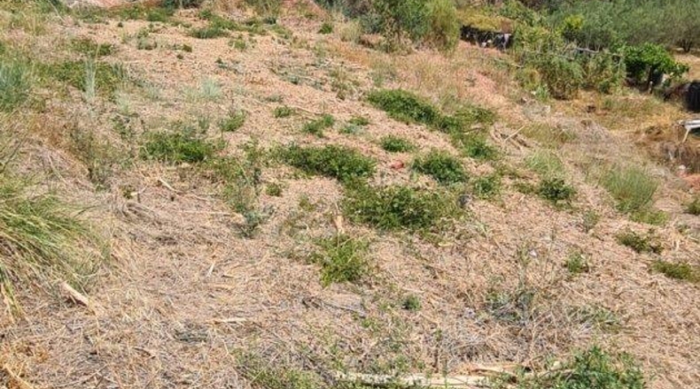 Barcelona - Castellar del Vallès - 452m2
