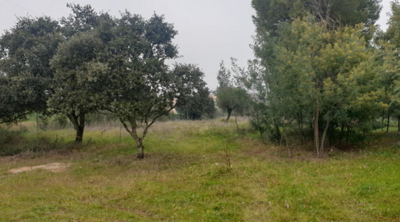 Badajoz - Mèrida - 20000m2