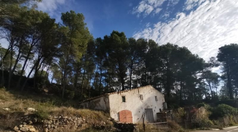 Tarragona - la Joncosa del Montmell - 26000m2