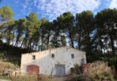 Casa de camp amb terreny en venda a la España, la Joncosa del Montmell, ref.: TR145280 foto