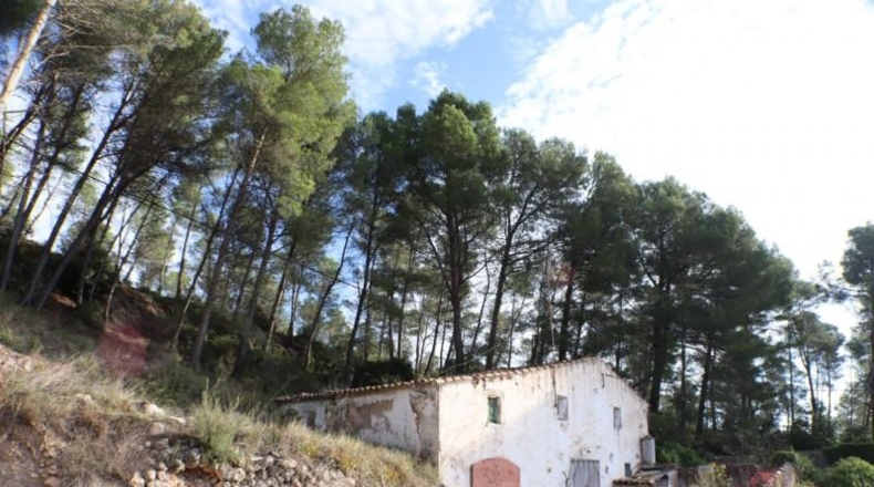 Tarragona - la Joncosa del Montmell - 26000m2