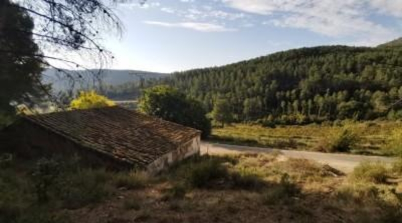 Tarragona - la Joncosa del Montmell - 26000m2