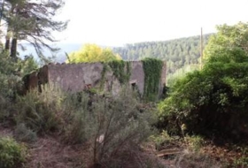 la Joncosa del Montmell 26000&nbsp;m²