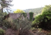 Casa de camp amb terreny en venda a la España, la Joncosa del Montmell, ref.: TR145280 foto