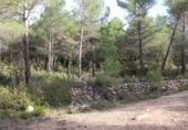 Casa de camp amb terreny en venda a la España, la Joncosa del Montmell, ref.: TR145280 foto