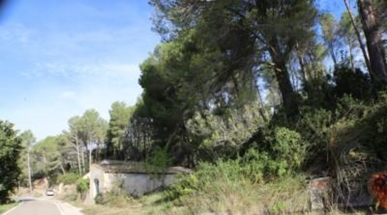 Tarragona - la Joncosa del Montmell - 26000m2