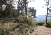 Casa de camp amb terreny en venda a la España, la Joncosa del Montmell, ref.: TR145280 foto