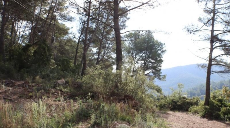 Tarragona - la Joncosa del Montmell - 26000m2