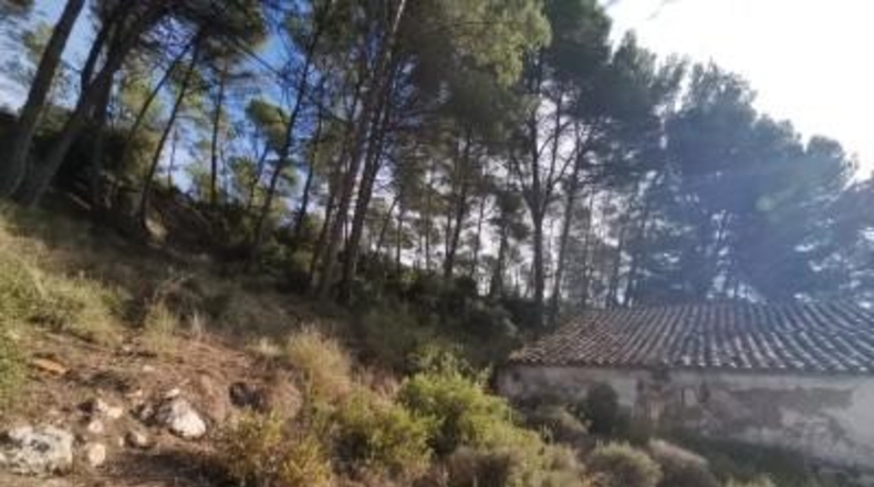 Tarragona - la Joncosa del Montmell - 26000m2