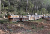 Casa de camp amb terreny en venda a la España, la Joncosa del Montmell, ref.: TR145280 foto