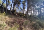 Casa de camp amb terreny en venda a la España, la Joncosa del Montmell, ref.: TR145280 foto