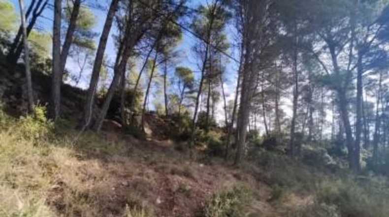Tarragona - la Joncosa del Montmell - 26000m2