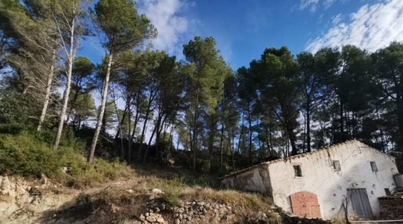 Tarragona - la Joncosa del Montmell - 26000m2