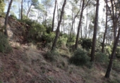 Casa de camp amb terreny en venda a la España, la Joncosa del Montmell, ref.: TR145280 foto