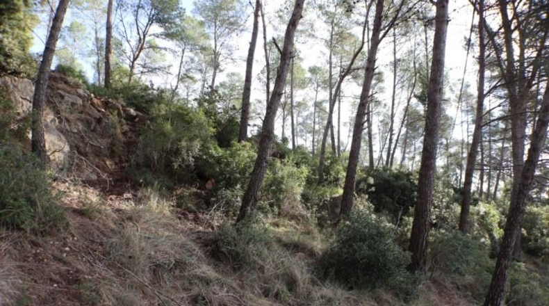 Tarragona - la Joncosa del Montmell - 26000m2