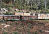 Casa de camp amb terreny en venda a la España, la Joncosa del Montmell, ref.: TR145280 foto