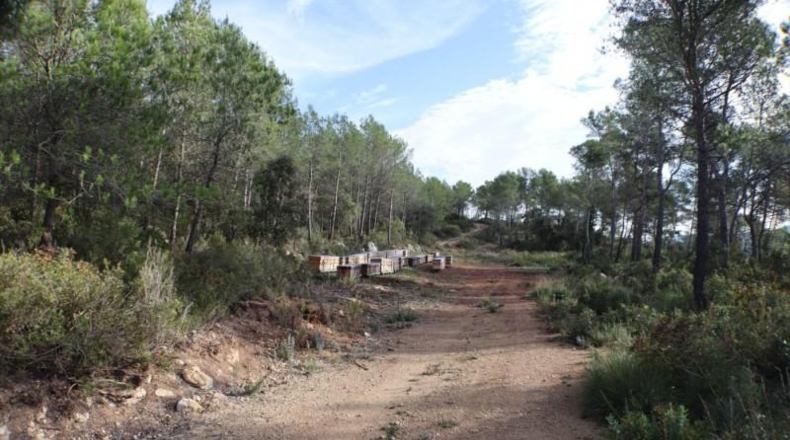 Tarragona - la Joncosa del Montmell - 26000m2