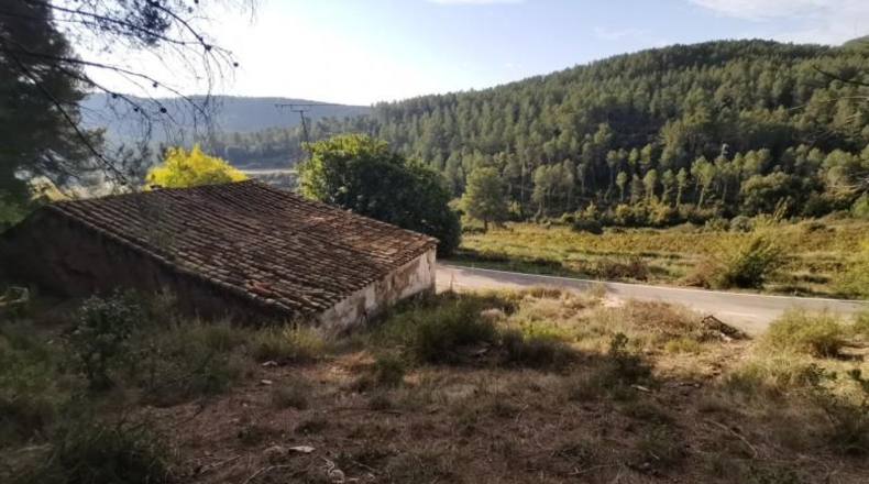 Tarragona - la Joncosa del Montmell - 26000m2